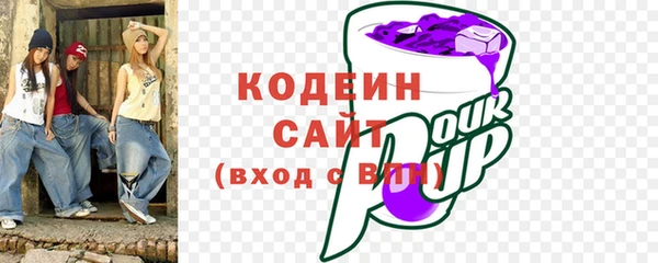 PSILOCYBIN Инсар