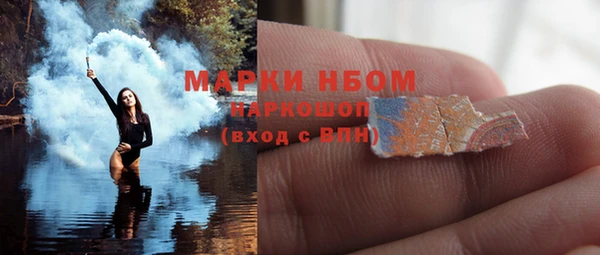 PSILOCYBIN Инсар