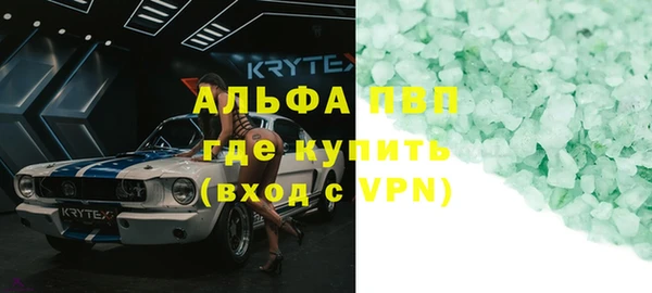 стафф Иннополис