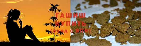 PSILOCYBIN Инсар