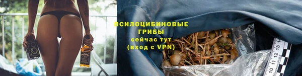 PSILOCYBIN Инсар