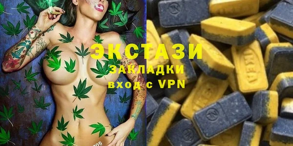 PSILOCYBIN Инсар