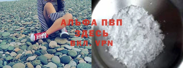 PSILOCYBIN Инсар