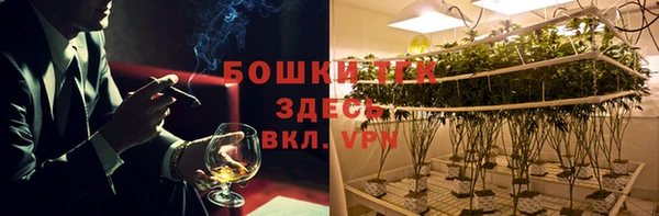 стафф Иннополис