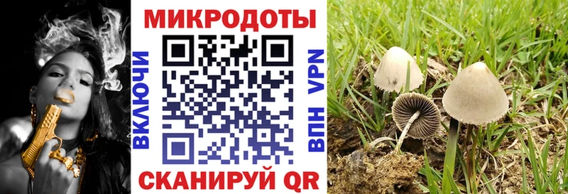 Псилоцибиновые грибы Psilocybe  Купить закладки  Высоцк 