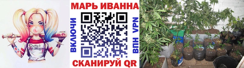 Купить закладки  Высоцк  Марихуана тримм 